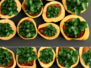 verticaal tuinieren 3D Model