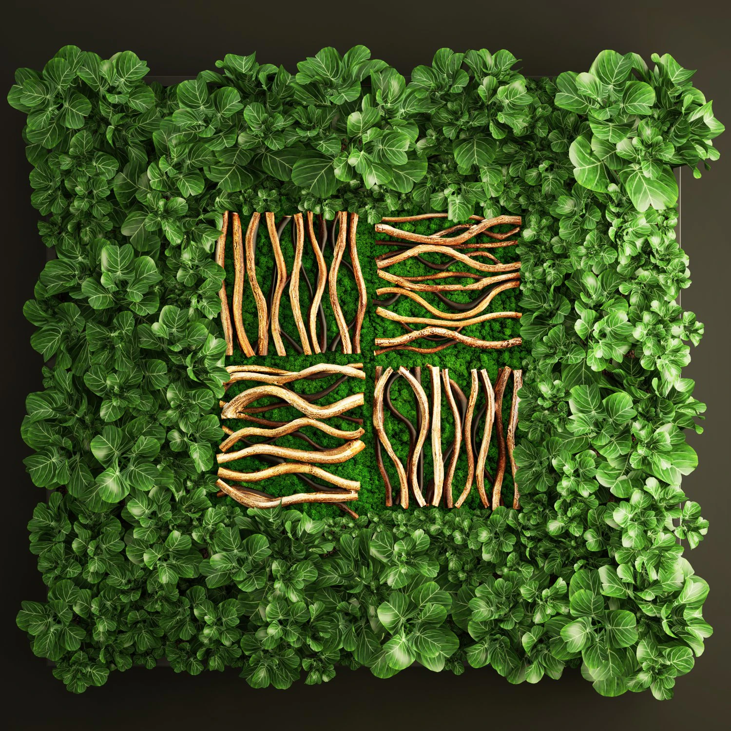 垂直园艺 3D 模型 .c4d .max .obj .3ds .fbx .stl .blend 