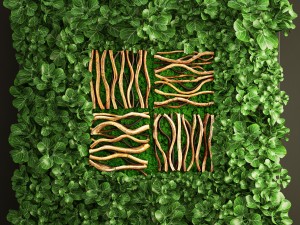 vertical gardening Modèle 3D