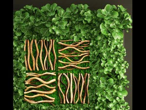 垂直园艺 3D 模型