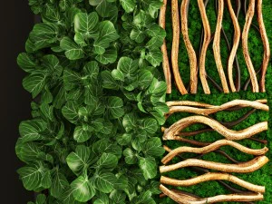 垂直园艺 3D 模型