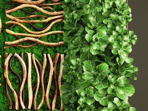 vertical gardening 3D-Modell