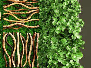 垂直园艺 3D 模型