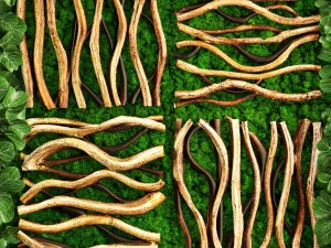 垂直园艺 3D 模型