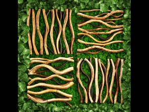 垂直园艺 3D 模型