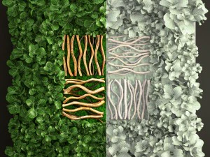 垂直园艺 3D 模型