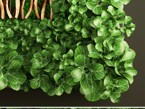 垂直园艺 3D 模型