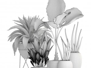 collection of tropical plants 3D Model