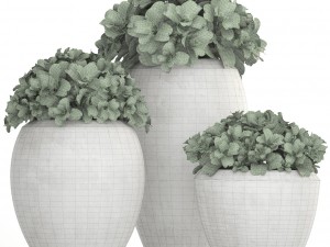 collection of plants in pots 3D 모델