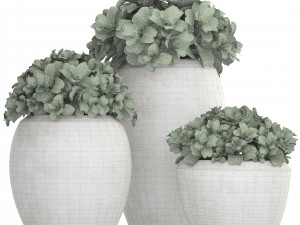 collection of plants in pots 3D 모델