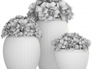 collection of plants in pots 3D 모델