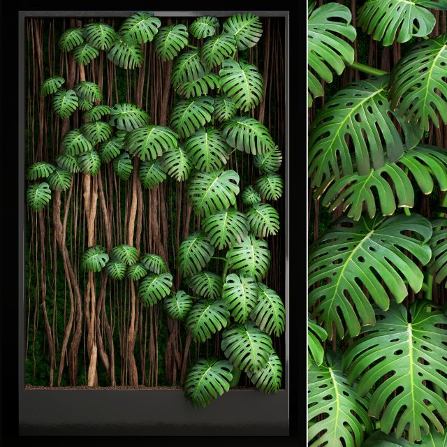 vertical gardening monstera 3D Модель .c4d .max .obj .3ds .fbx .stl .blend 