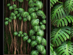 vertical gardening monstera 3D Model