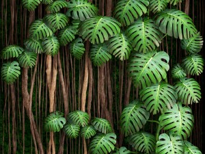 vertical gardening monstera 3D Модель