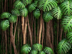 vertical gardening monstera 3D Модель