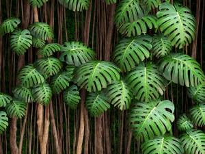 vertical gardening monstera 3D Модель