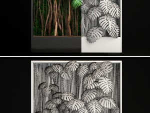 vertical gardening monstera 3D Модель
