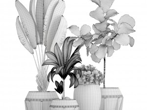 collection of tropical plants Modelo 3D