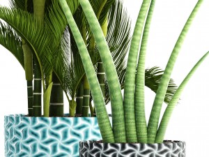 collection of tropical plants 3Dモデル