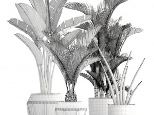 collection of tropical plants 3Dモデル