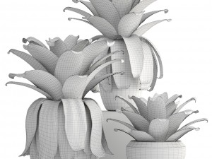 tropical plant shrubs 3D Модель