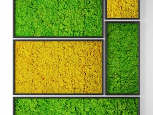 стабілізований мох 3D Модель