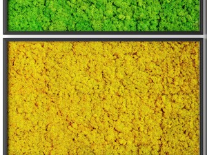 stabilized moss 3D Model