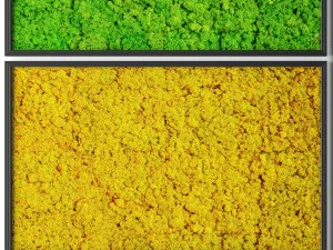 gestabiliseerd mos 3D Model