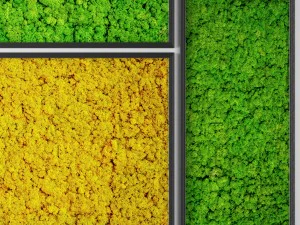 gestabiliseerd mos 3D Model