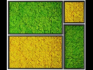 gestabiliseerd mos 3D Model