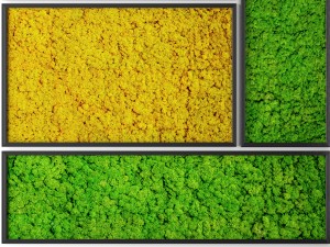 stabilized moss 3D Model