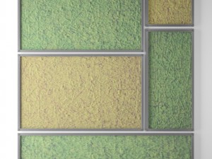 stabilized moss 3D Model