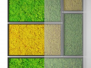 gestabiliseerd mos 3D Model