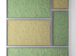 stabilized moss 3D Model
