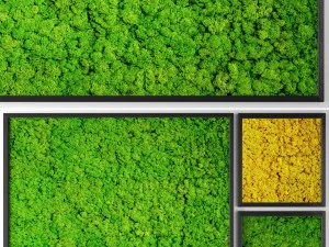 gestabiliseerd mos 3D Model