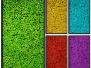 стабілізований мох 3D Модель