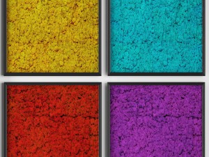 stabilized moss 3D Модель