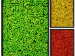 stabilized moss 3D Model