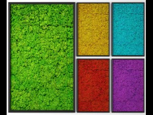 stabilized moss 3D Model