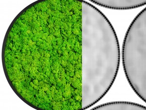 stabilized moss 3D 모델