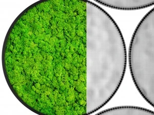 stabilized moss 3D Model