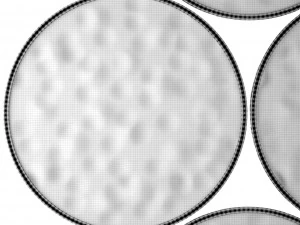 stabilized moss 3D Model