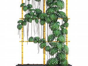 monstera 3D 모델