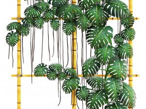 monstera 3D 모델