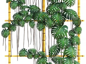 monstera 3D Model