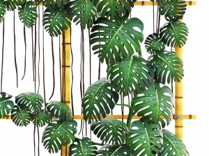 monstera 3D 모델