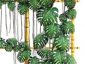 monstera 3D Model