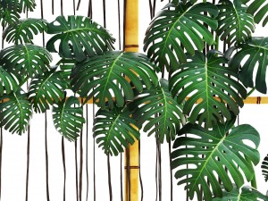 monstera 3D 모델