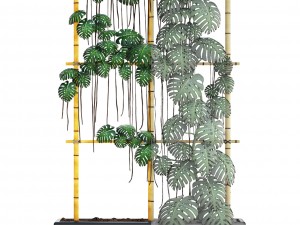 monstera 3D 모델