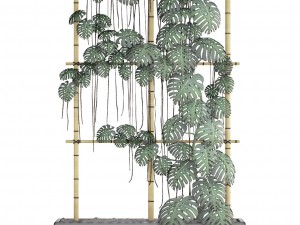 monstera 3D 모델